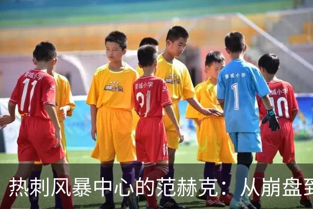 热刺风暴中心的范赫克：从崩盘到重整旗鼓的艰难旅程